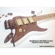 Guitarra eléctrica SM-GE004SS StarSMaker Super Strato Signature Oscar Aragon14