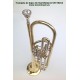 Trompeta de Bajos Sib 3 Cilíndros StarSMaker® SM-TR016
