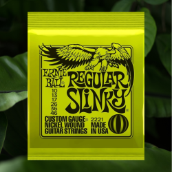 Ernie Ball 6 cuerdas guitarra eléctrica EB2221