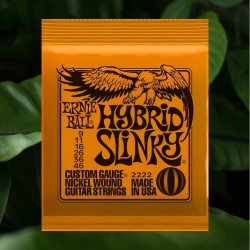 Ernie Ball 6 cuerdas guitarra eléctrica EB2222