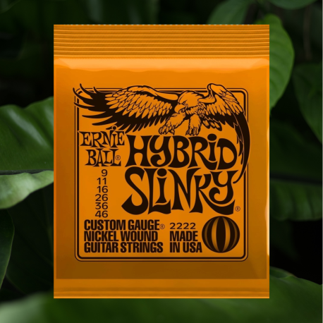 Ernie Ball 6 cuerdas guitarra eléctrica EB2222